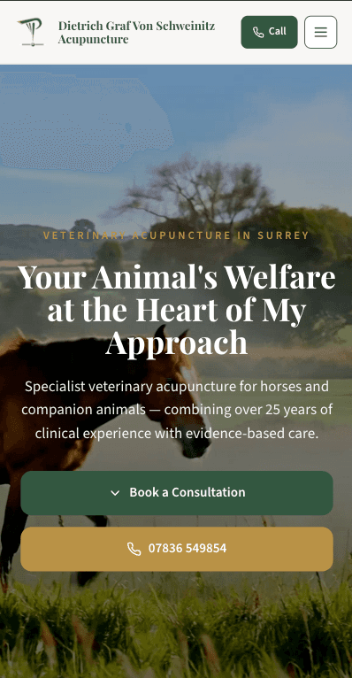 Dietrich Graf Von Schweinitz Acupuncture practice website preview
